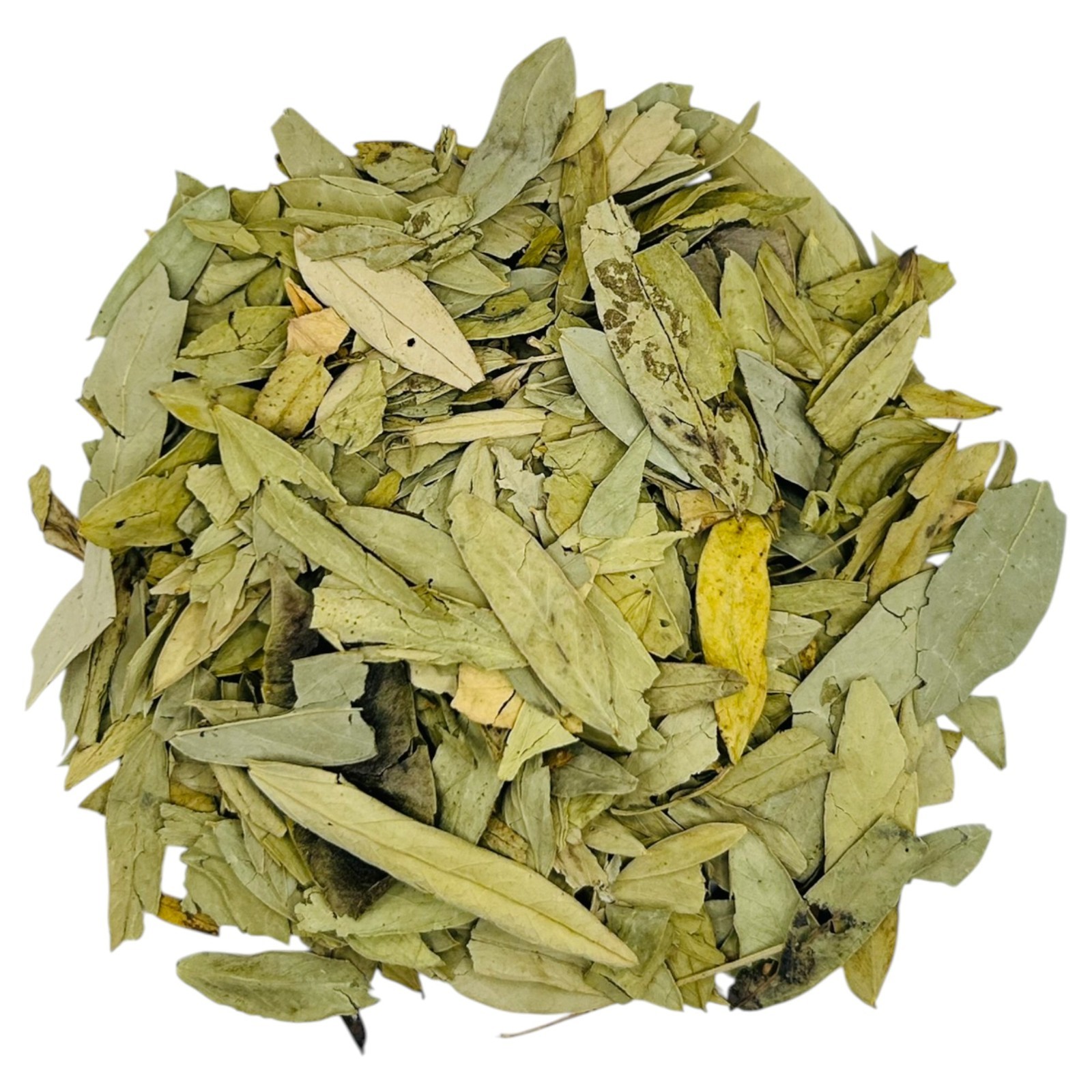 Premium Dried Senna Leaves 25g – 1.95Kg – 100% Natural & Pure Cassia Senna