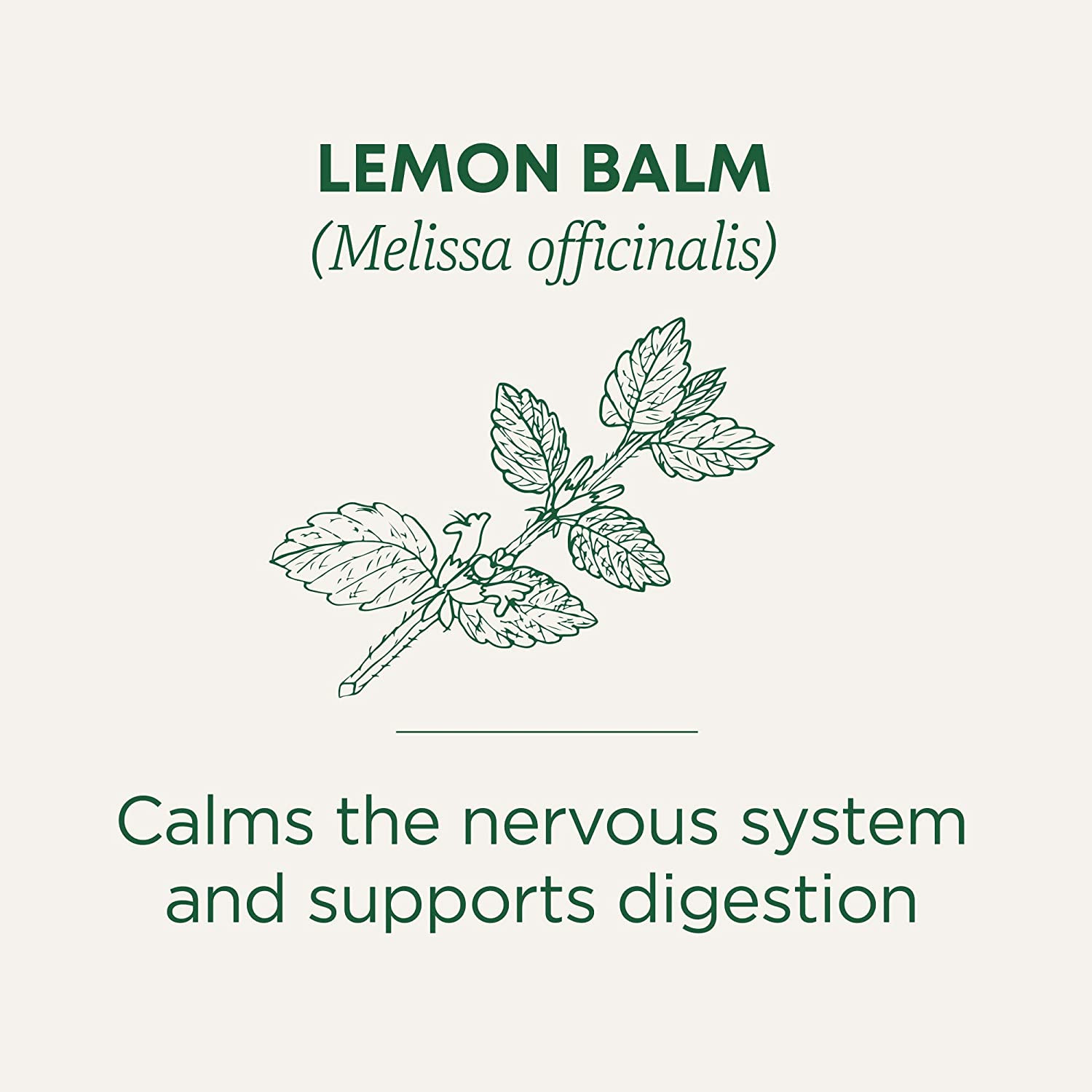 Organic, Lemon Balm – Supports Stress Relief & Digestive Health – Kosher, Non-Gm