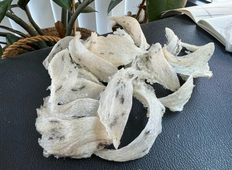100% genuine bird’s nest, 10 grams (2 nests). Natural bird’s nest, few feathers,