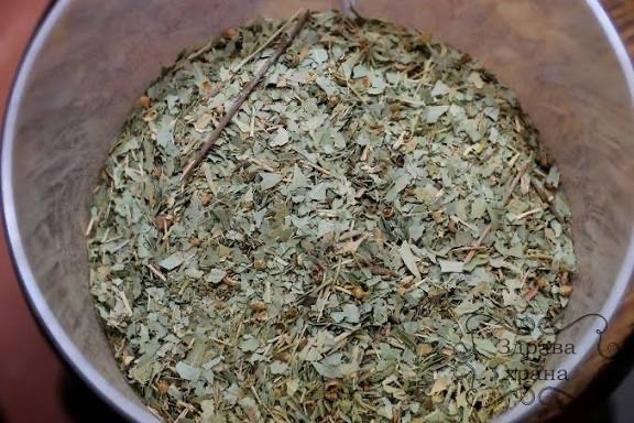 Eucalyptus Tea from Albania – 100% Natural Herbal Tea for Cold & Respiratory Rel