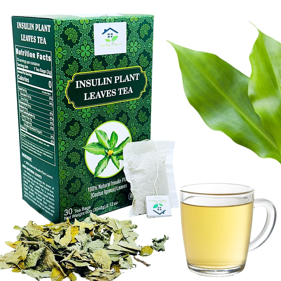Dried Insulin Plant Leaves Tea 30 X 2G Tea Bags Natural Costus Igneus New