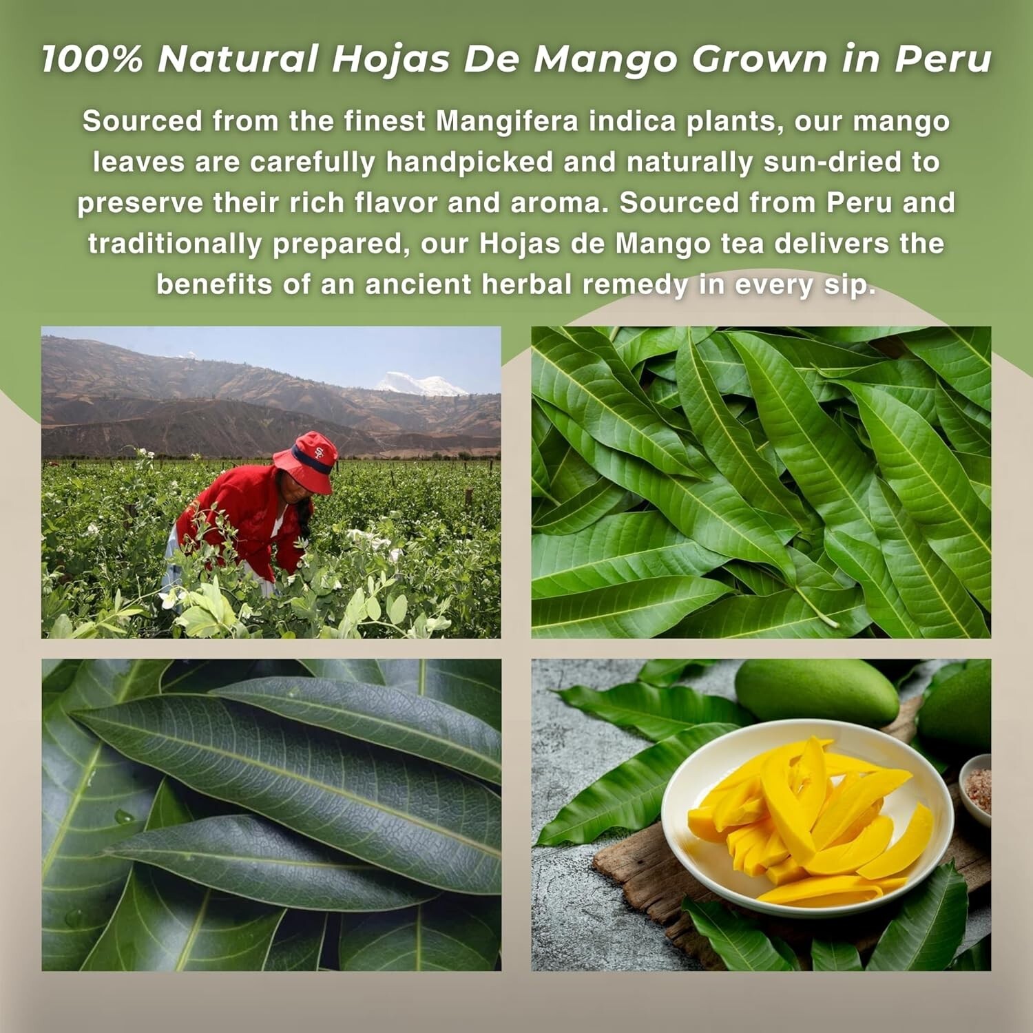 Te de Mango 40g –100% Natural Mango Loose Leaf Tea Natural Herbal Tea from Peru