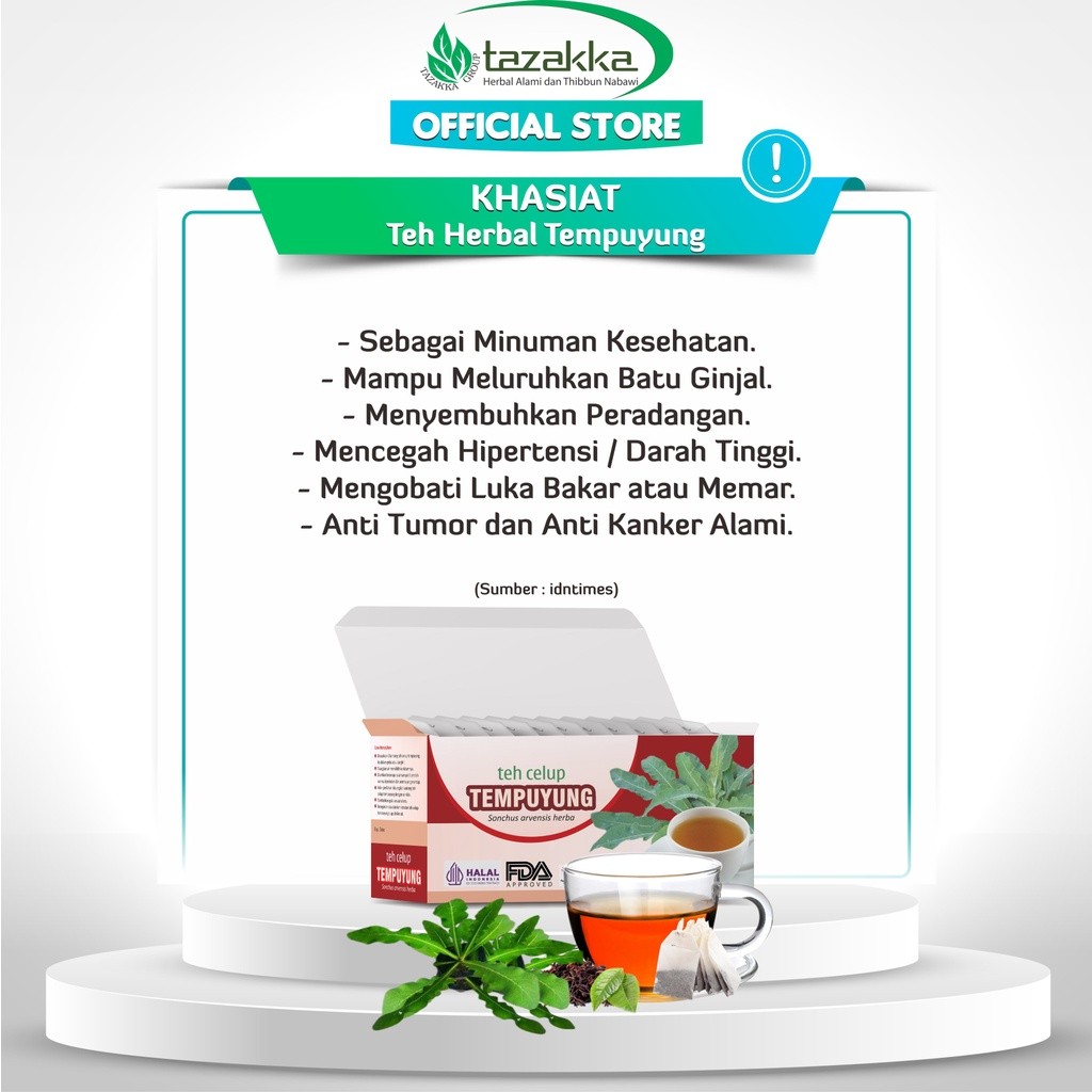 3x Tempuyung Leaf Herbal Tea Bags 40g Bundle 3×20 Sachets 120g Aroma Ritual
