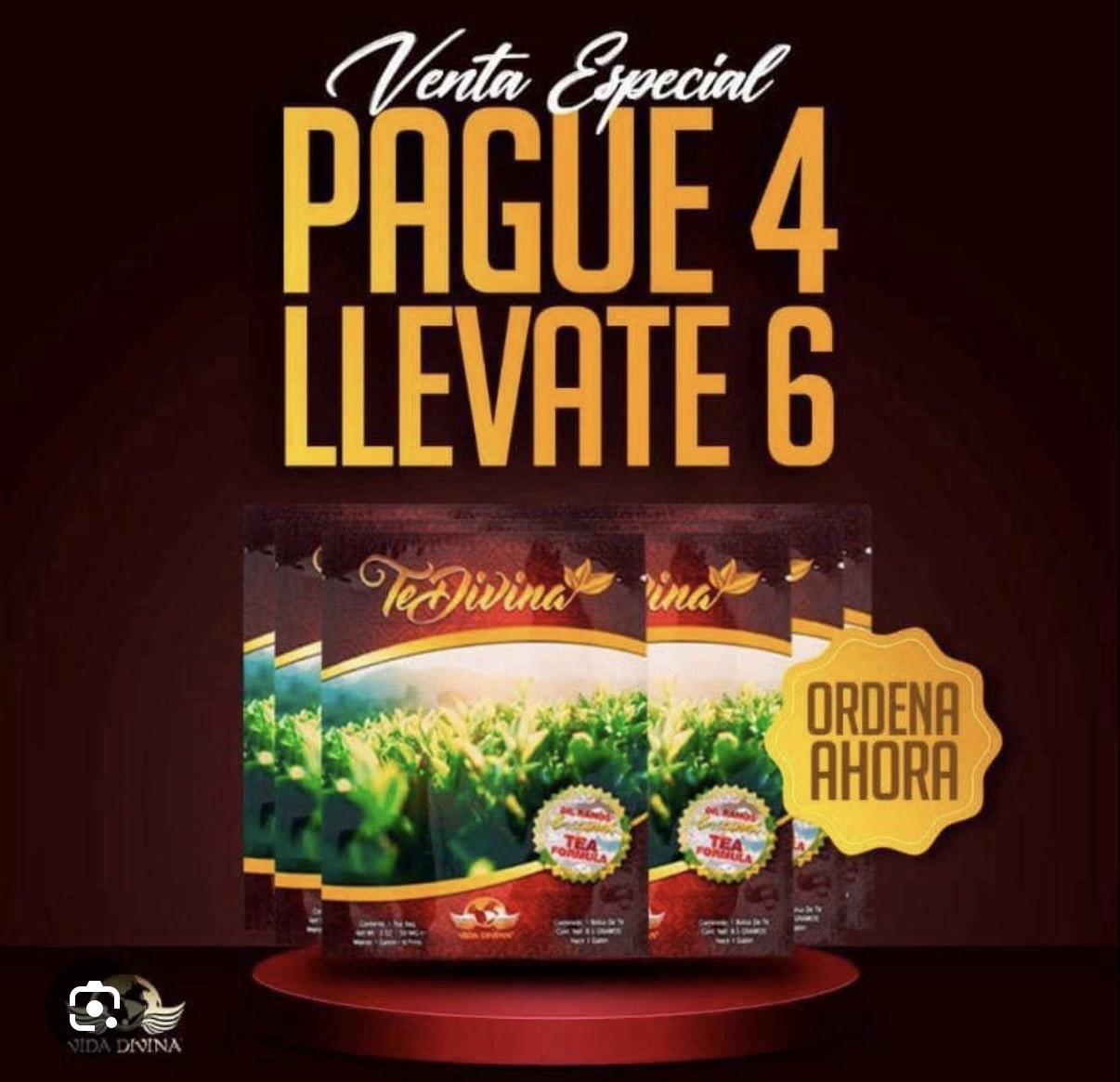 Vida Divina Te Divina Tea Bagged 6 Pack Pantry Herbal Detox Tea Bags