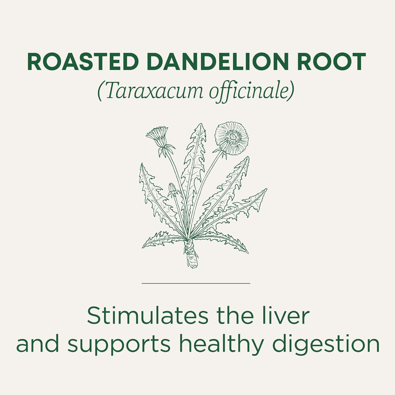 Tea, Organic Roasted Dandelion Root, Supports Kidney Function & Healthy Digestio