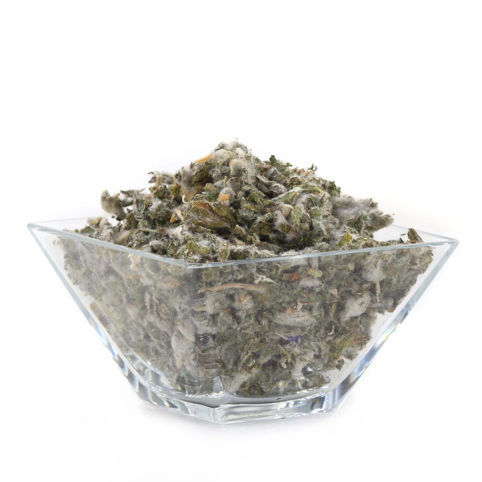 Witchy Pooh’s Mullein Leaf Tea – Loose Leaf Herb, Caffeine Free