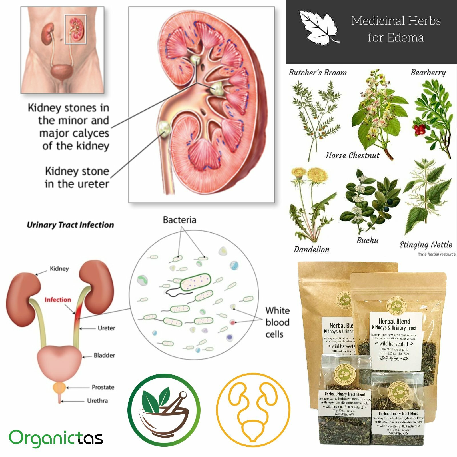 Organic Kidney Tea 6 selected Herbs for Urinary Tract Health, Stone Breaker, etc