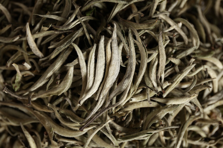 500g Puerh Tea Raw Tea White Hair Silver Needle Single Bud White Tea Loose Tea