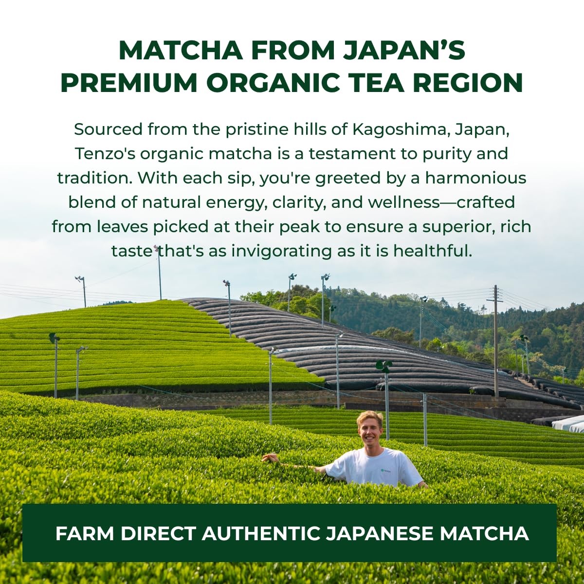 Tenzo Matcha Green Tea Powder – USDA Organic Premium Grade – Authentic Japane…