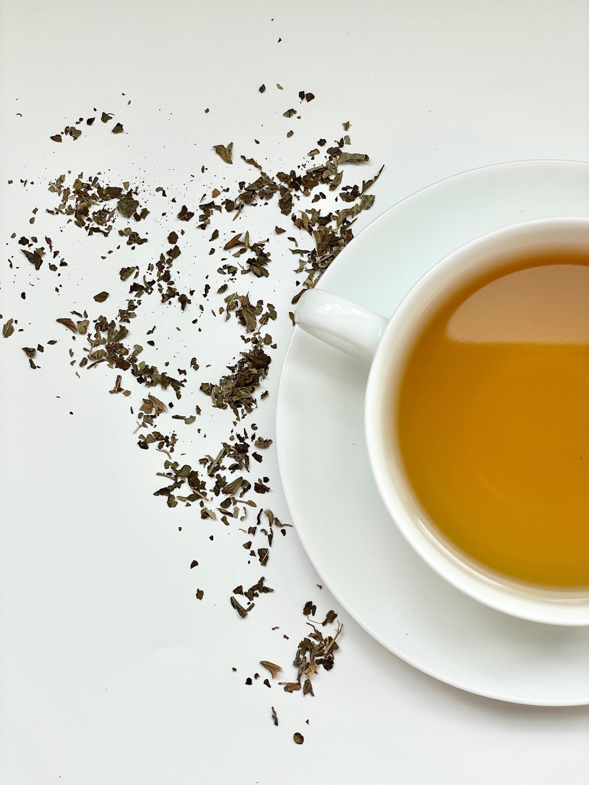 Lemon Balm Tea by Palm Beach Herbals | 30ct, Caffeine-Free