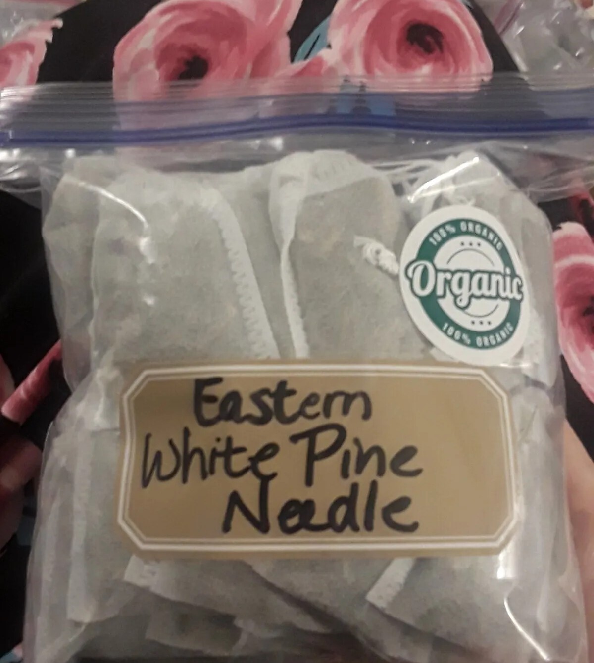 Lot: 20 Pc Organic Eastern White Pine Needle Tea Bags Suramin Fresh Harvest Bag