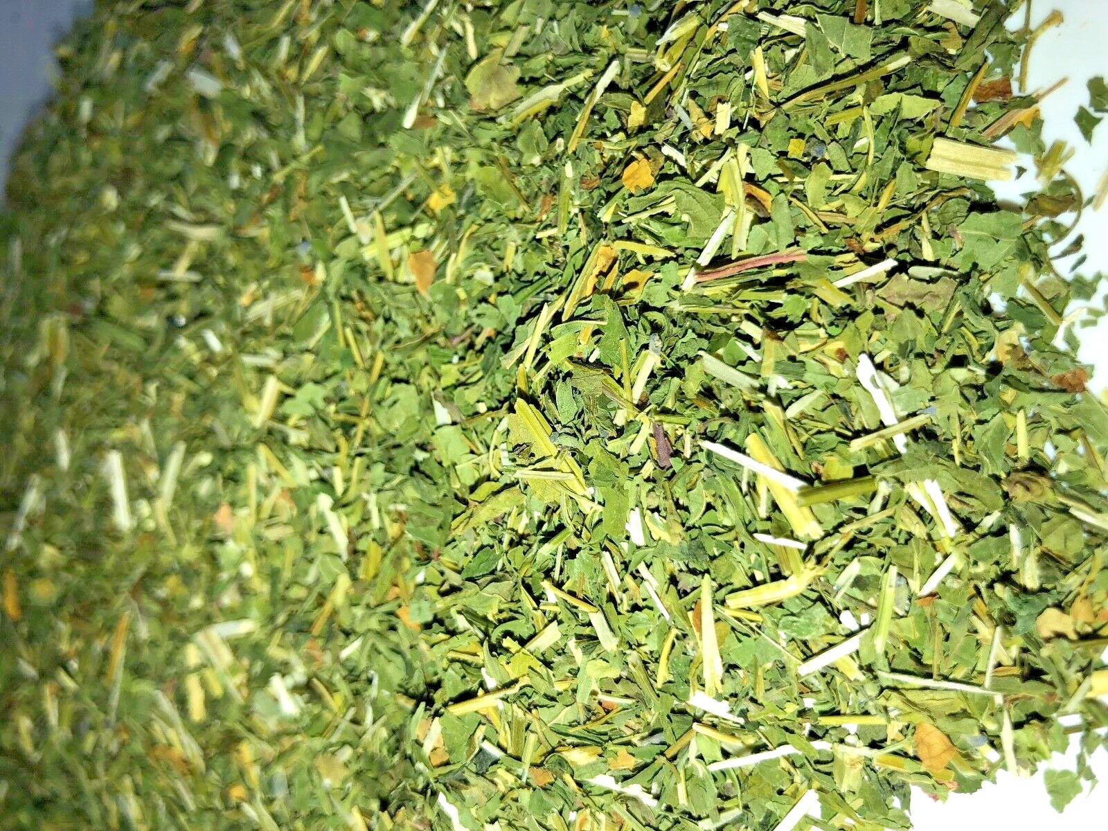 Certified Organic Mad Dog Weed Blue Skullcap Healing Herb – 1 ounce