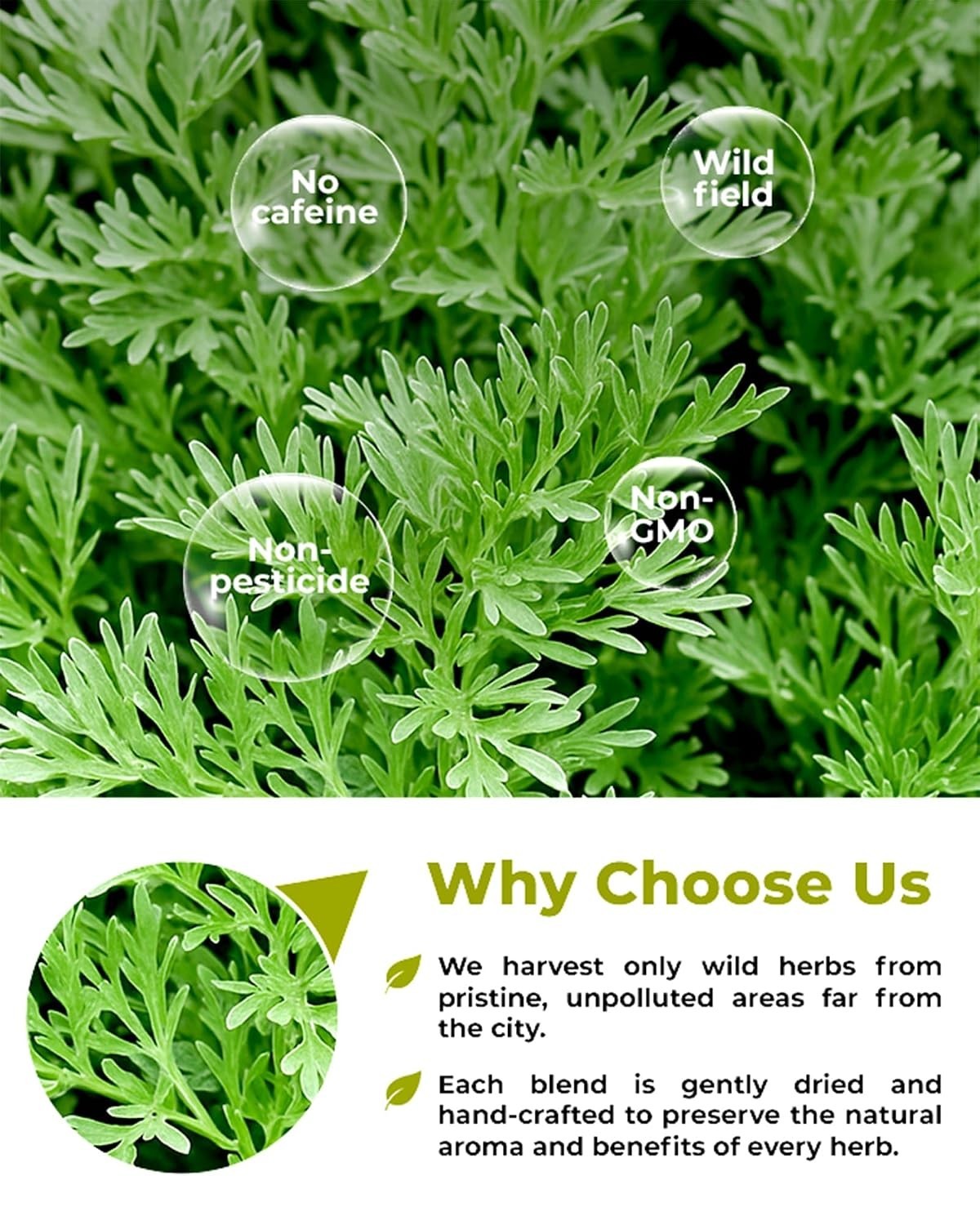 4 oz. Wormwood Tea – Loose Leaf Herbal Blend for Digestive Wellness