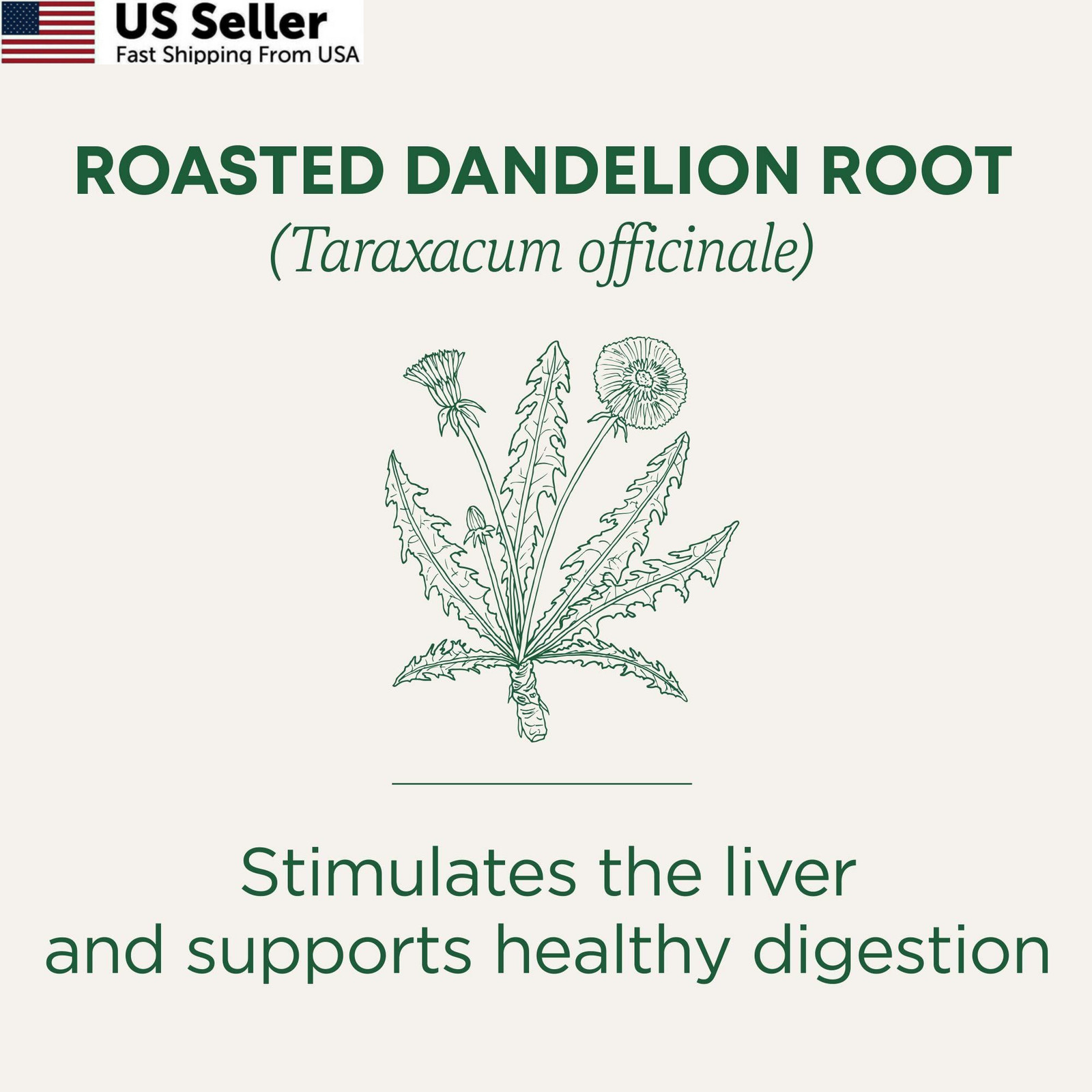Traditional Medicinals Organic, Roasted, Dandelion Root 16 Count (Pack of 1)