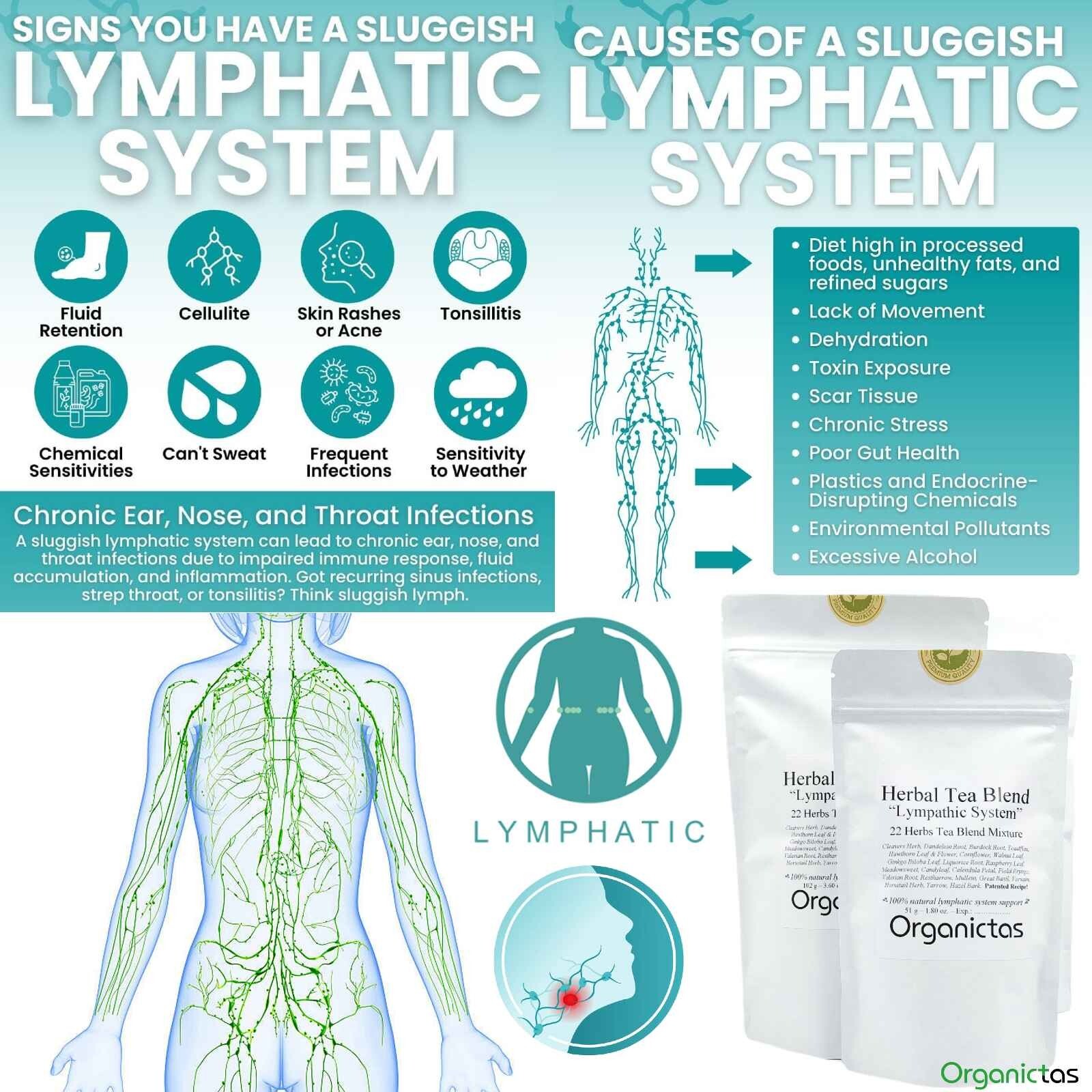 22 LYMPHATIC HERBS TEA Blend – Natural LYMPH CLEANSE – LYMPHATIC VESSELS Support