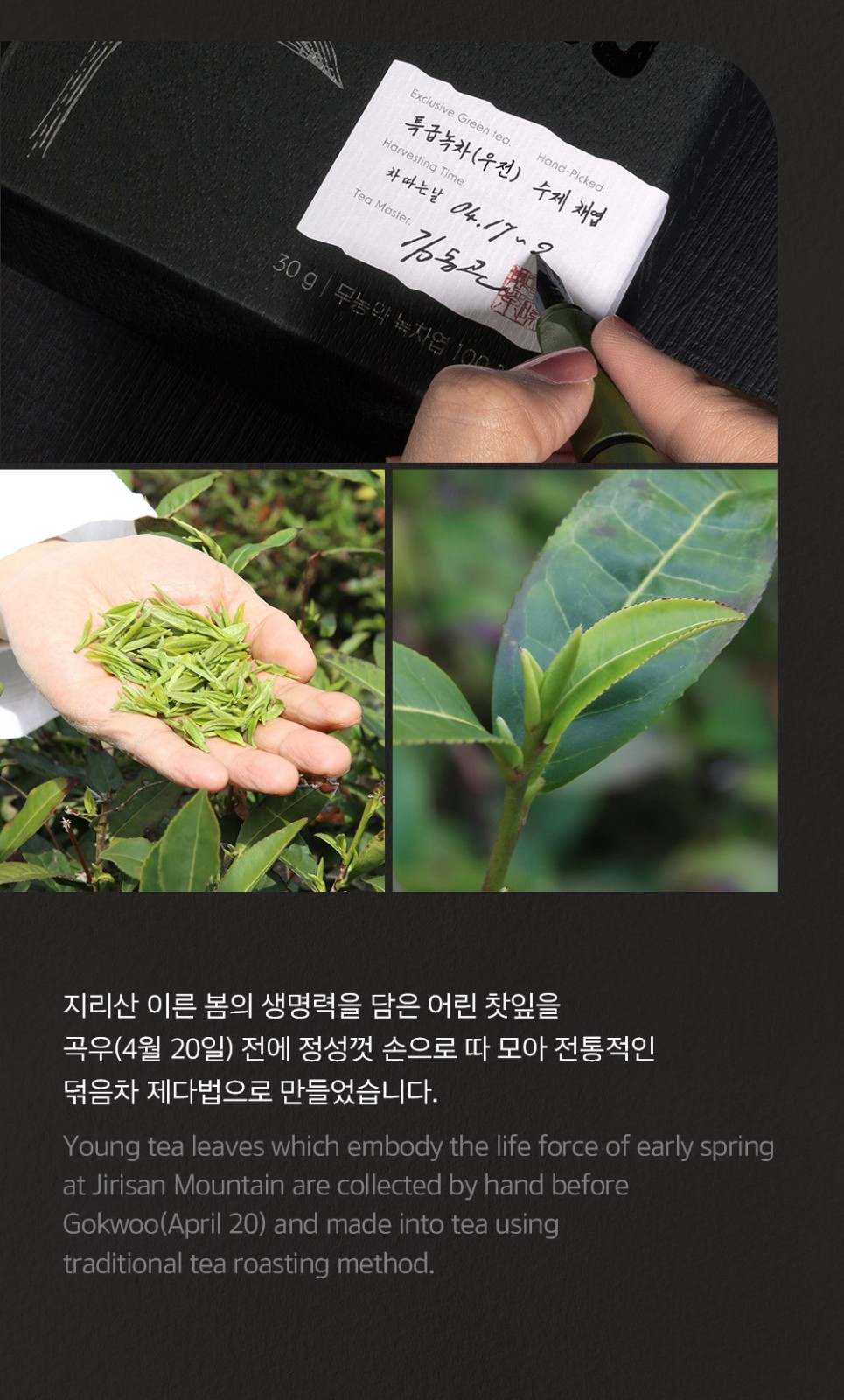 Korean Ujeon Green Tea First Flush Award Winner Master Kim 30g 1.06oz Premium