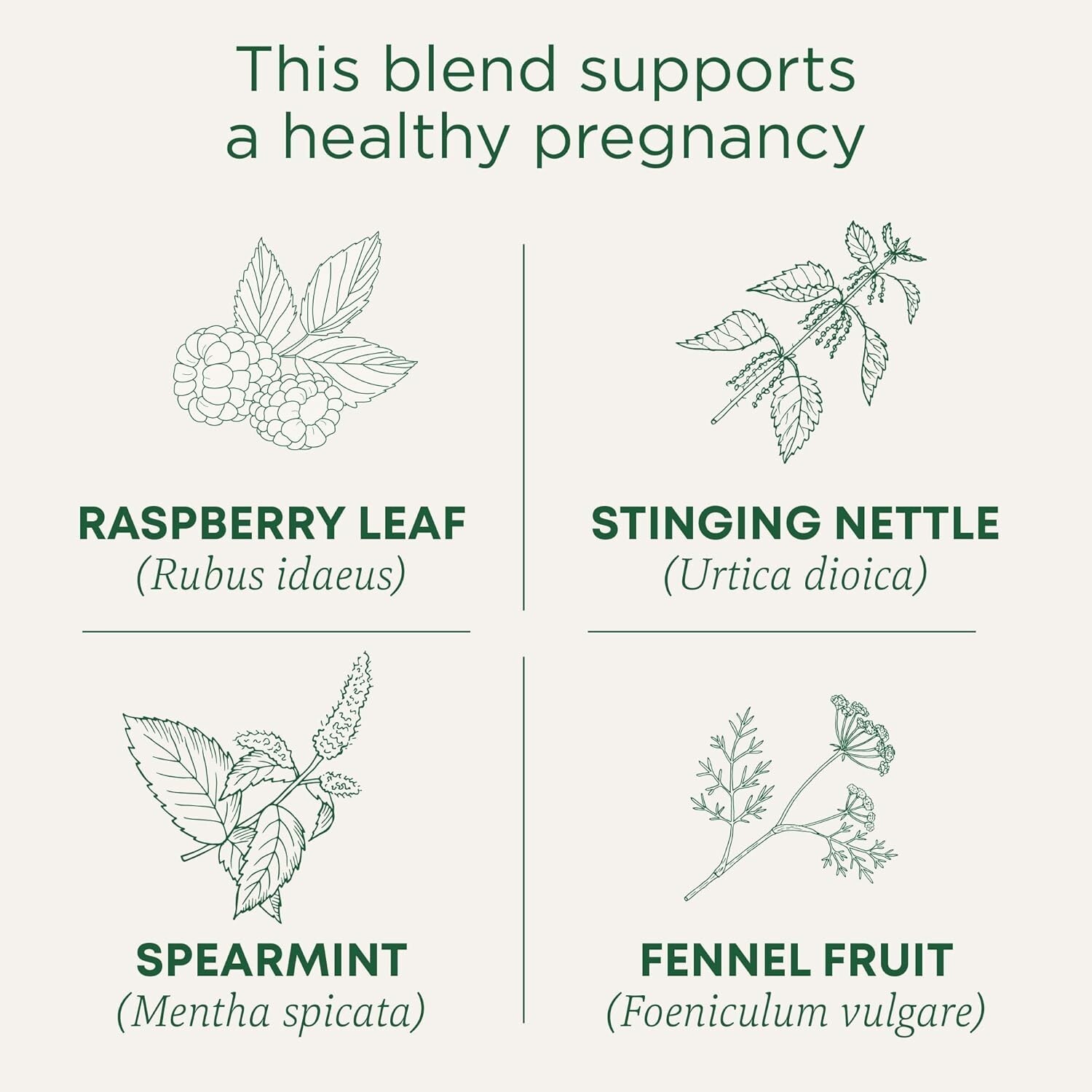Lot NIB 32ct Bag Traditional Medicinals Organic Caffeine Free Pregnancy Tea Ship