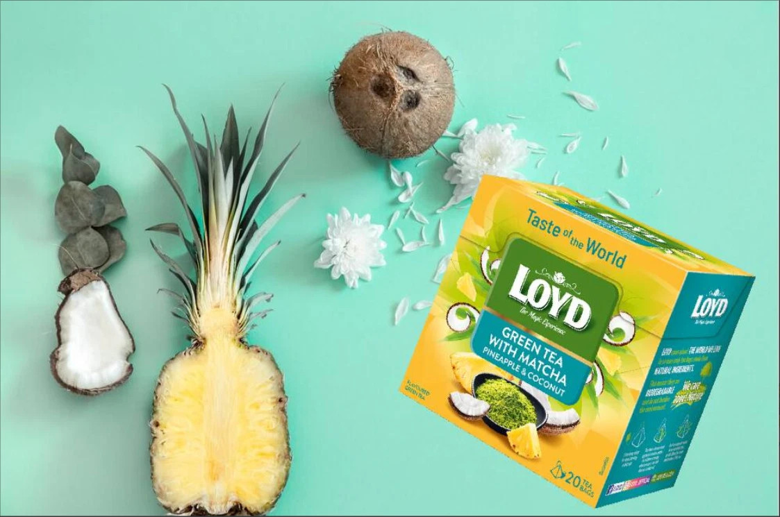 LOYD Green Tea with Matcha Pineapple & Coconut Exotic Blend 20 Tea Bags (4 Pack)