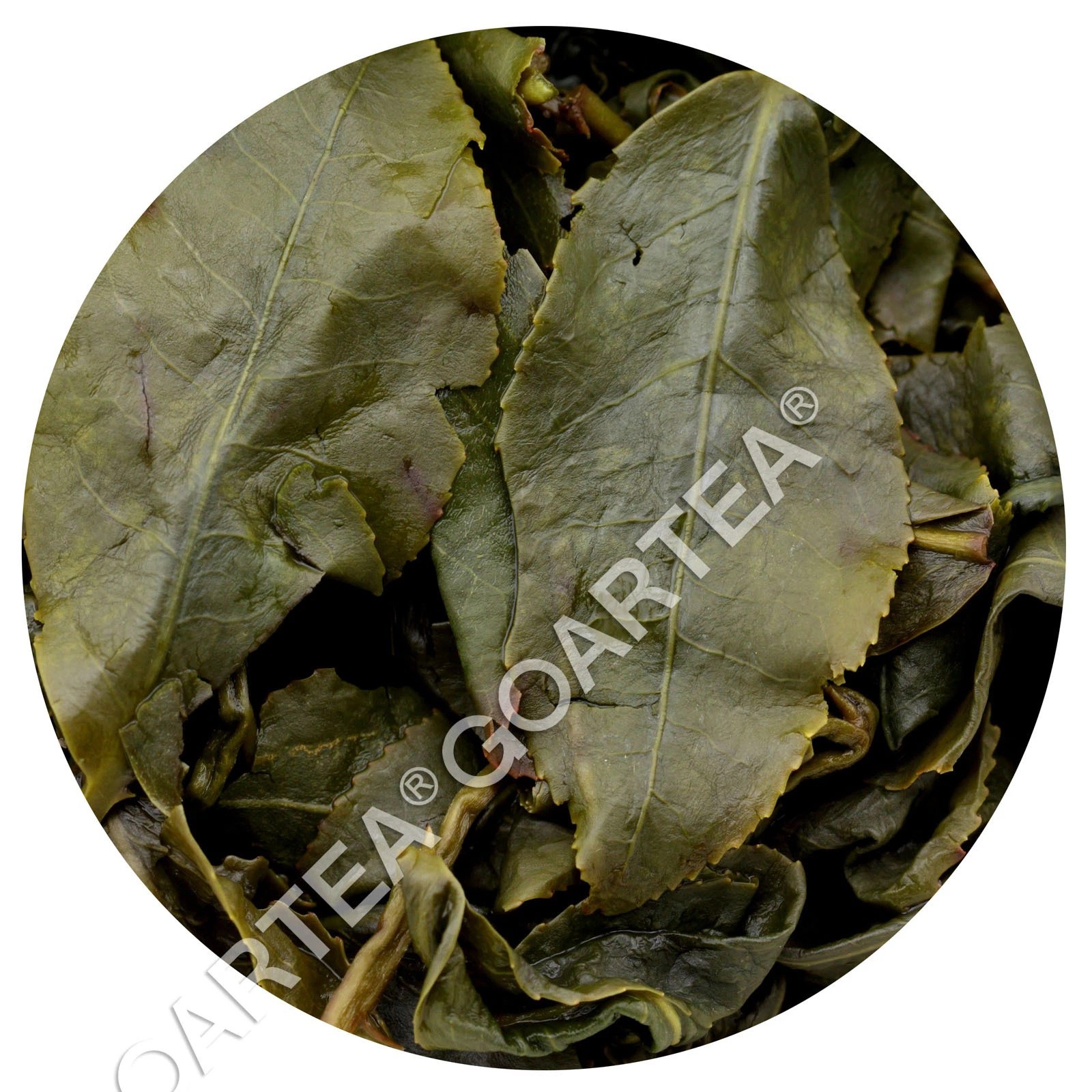 1000g Premium Taiwan Dongding Oolong Tea High Mount Tung-ting Green Loose