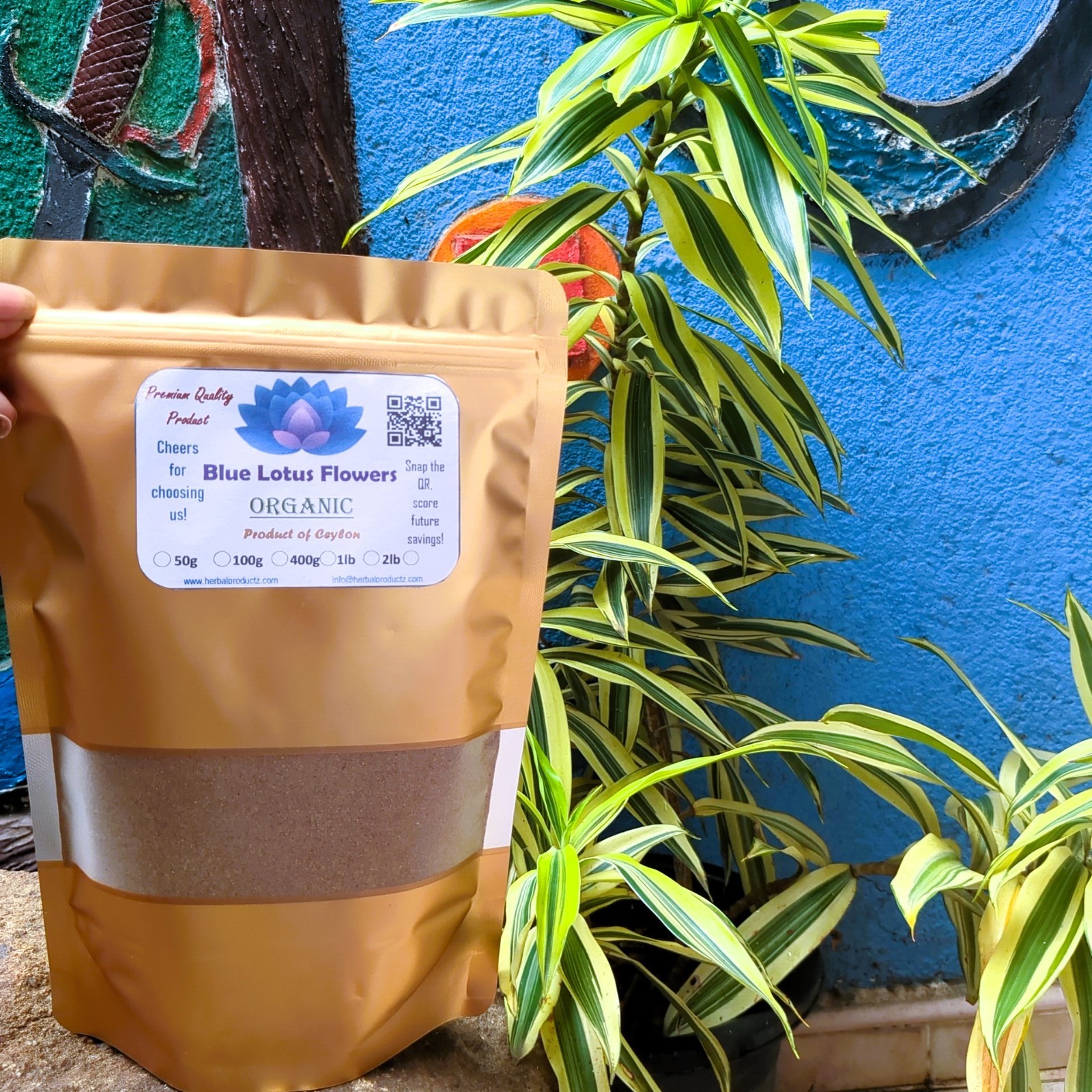 Dried Blue lotus Powder Nymphaea Caerulea Flower Organic Pure Quality Herbal Tea