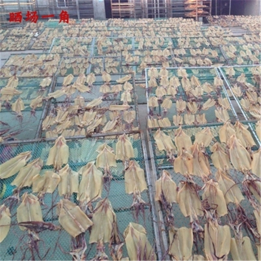 natural dried seafood dry food dried squid Chinese fish fork food