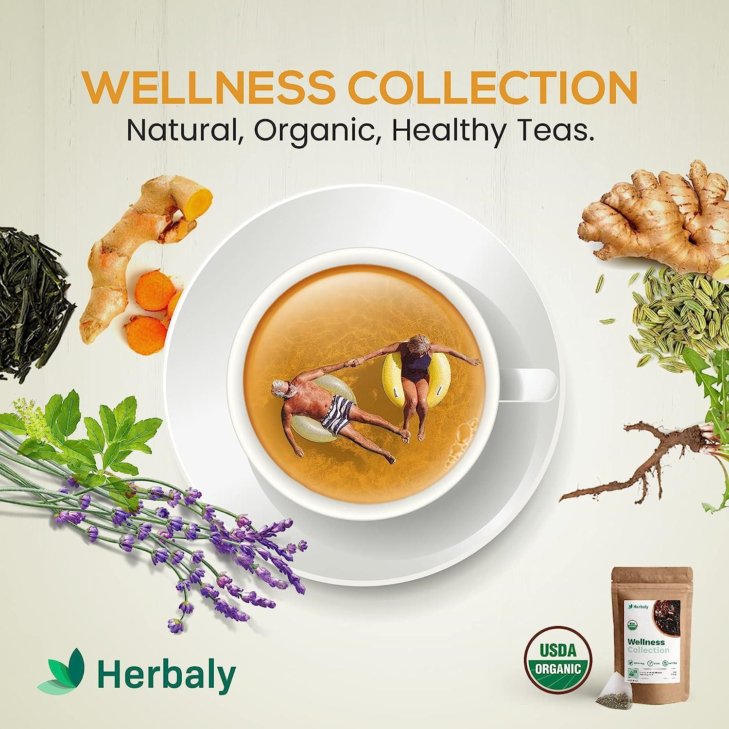 Herbaly Wellness Collection Organic Herbal Ginger Tea, 70 g, 28 Count Bag Pack 1