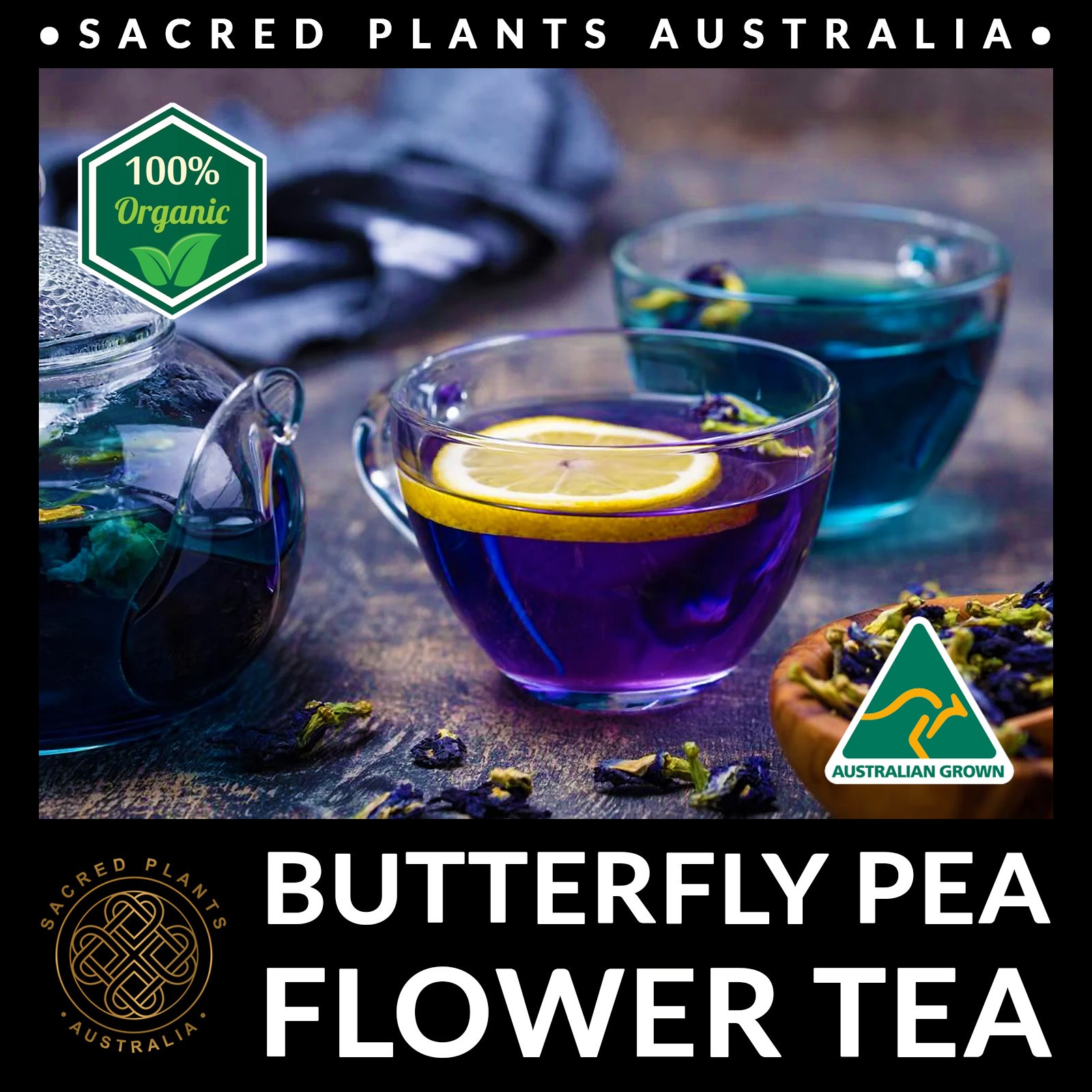 BUTTERFLY PEA Flower Tea 10g | Clitoria ternatea Loose Leaf Organic Natural