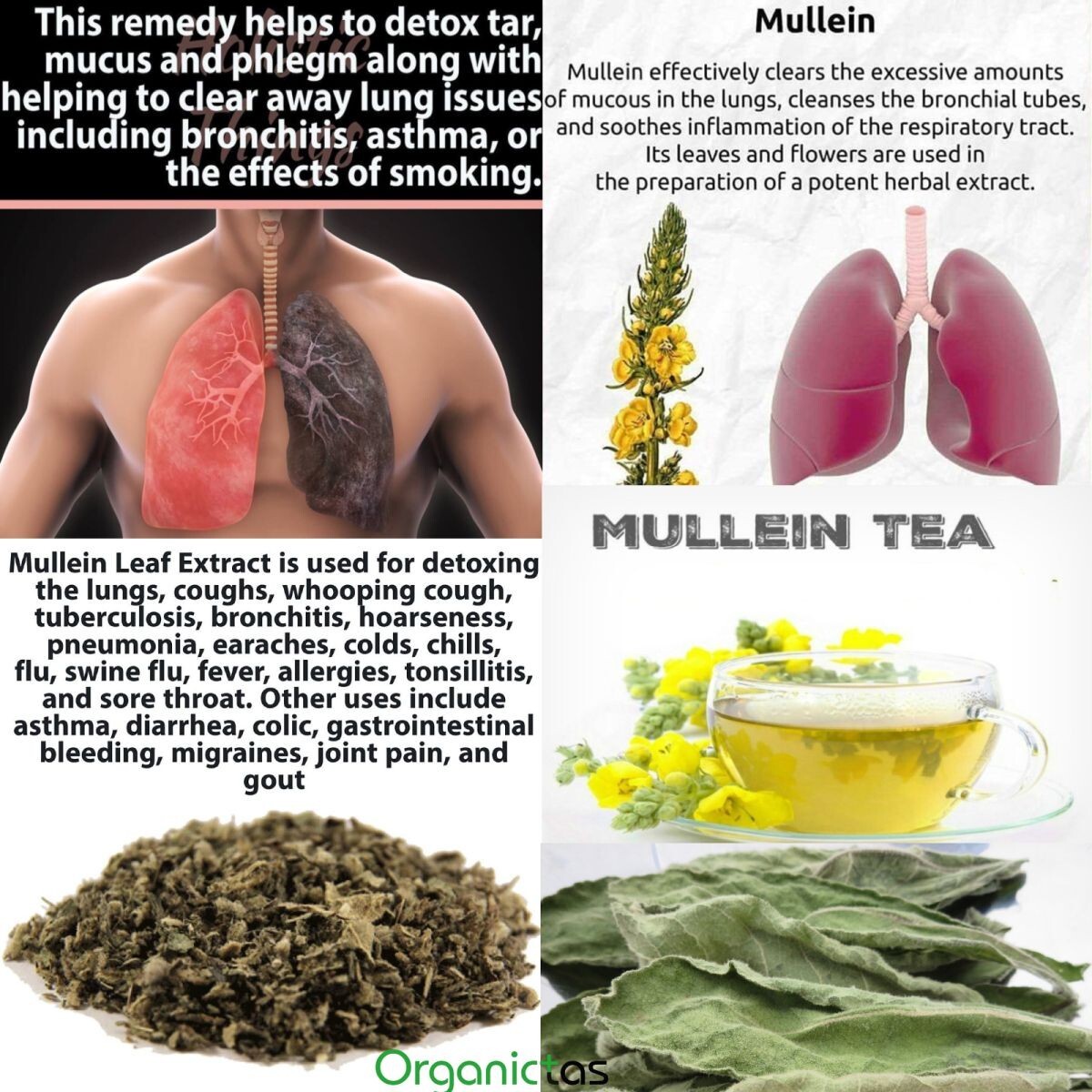 Organic Mullein Leaves Tea Mullein Herb with Health Benefits 200g / 7.10 oz