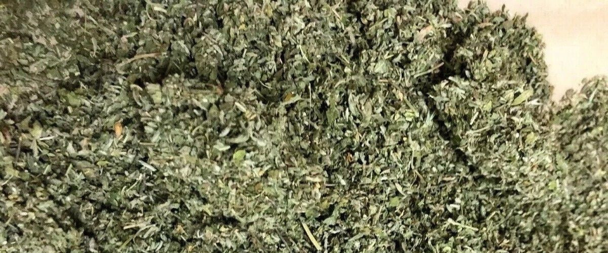 DAMIANA aphrodisiac cut leaf! 1 2 3 oz pound – turnera diffusa ORGANIC herb!
