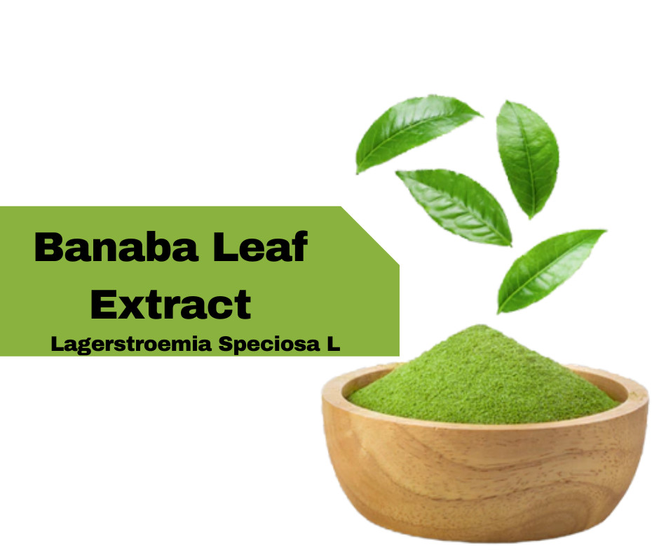 Banaba Herbal Tea 20 Tea Bags – All Natural Caffeine Free