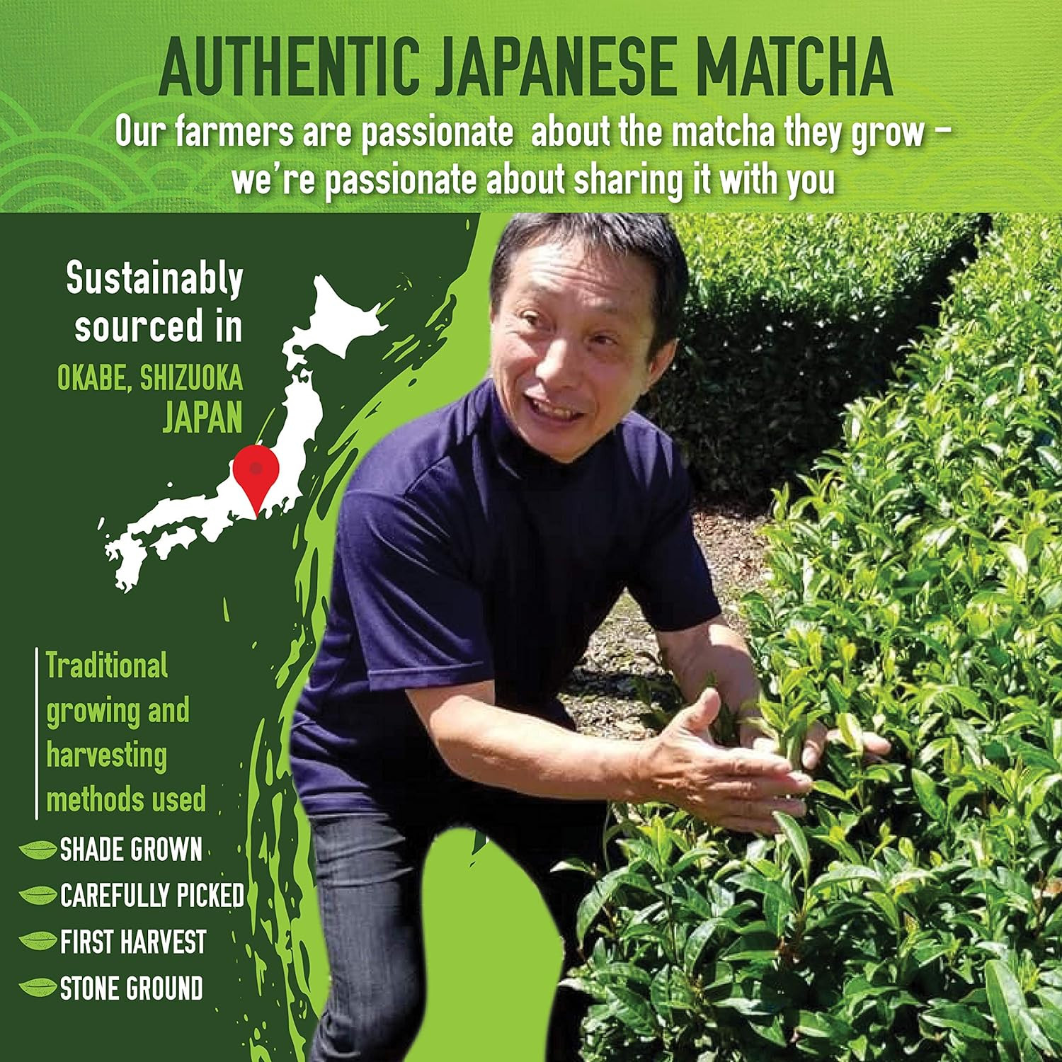 Polvo de Te Verde Matcha Grado Ceremonial Premium Autentico Te Verde Japones
