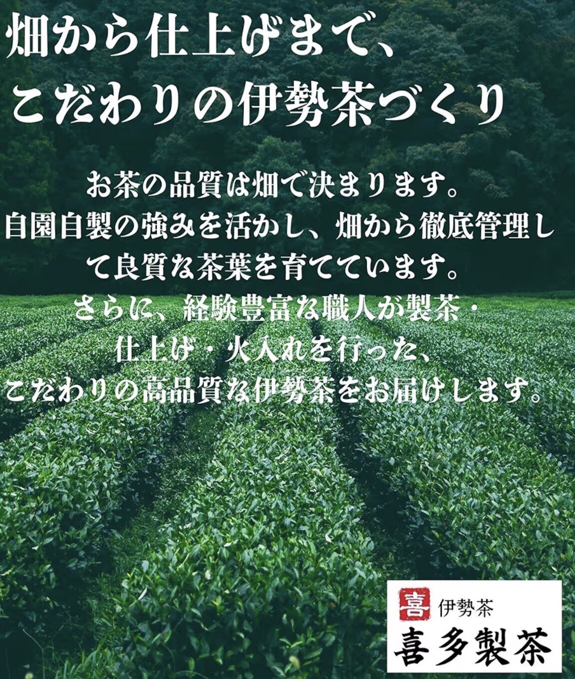 Kita Seicha Tokumaro Deep Steamed Sencha 200g | Ise Green Tea Japan