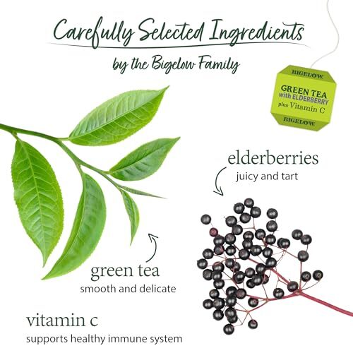 Bigelow Green Tea with Elderberry and Vitamin C 18 Count Pack of 6 Tea Bags