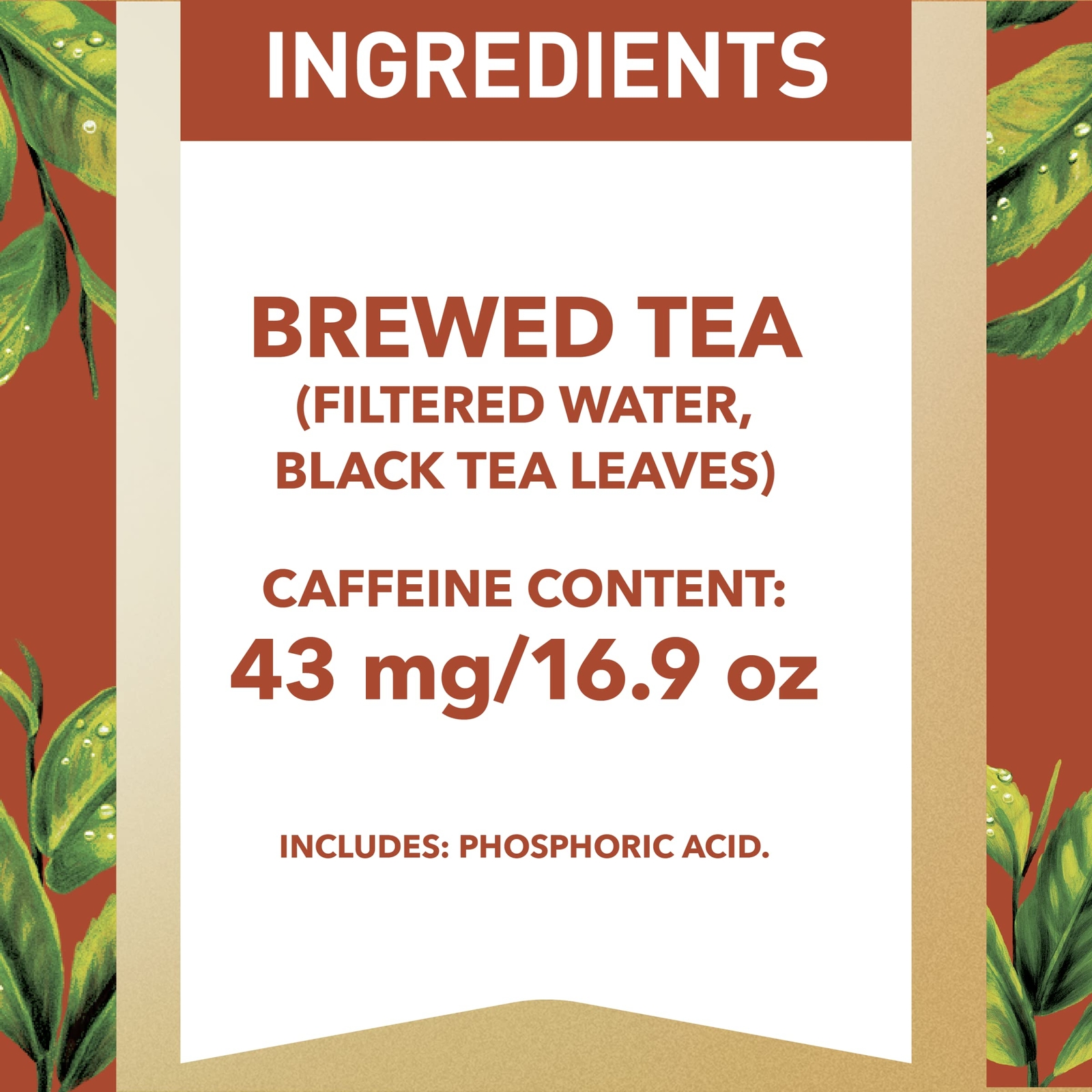Tea Unsweet Tea 16.9 fl oz 6 Pack