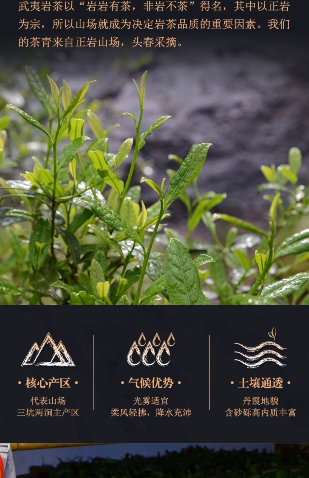 武夷岩茶,铁罗汉,半天腰,水金龟,白鸡冠,125g*4