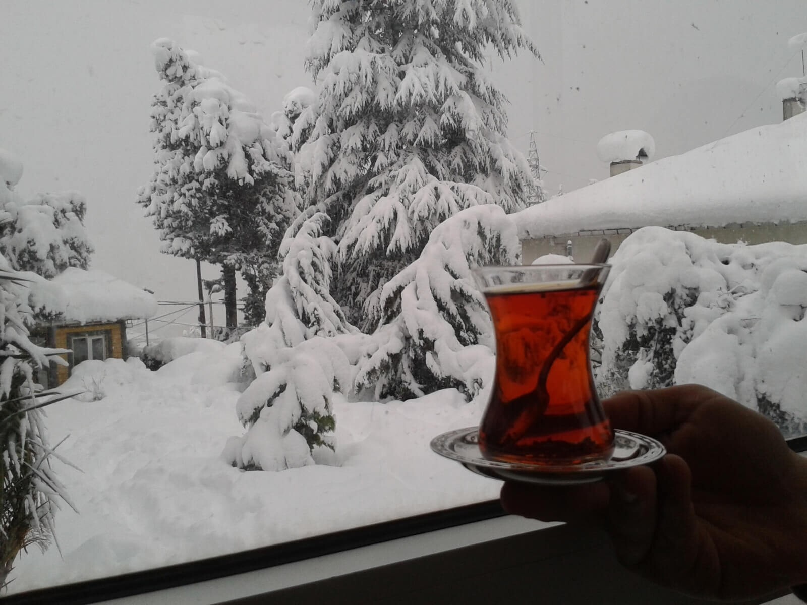 Çaykur Turkish Black Earl Grey Tin Tea 200gr