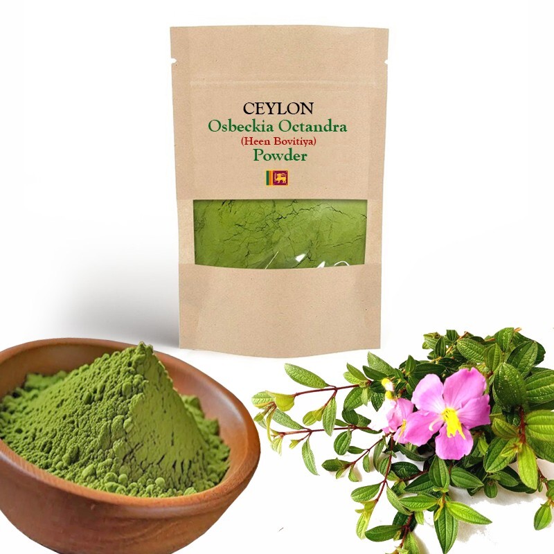 ORGANIC 100% OSBECKIA OCTANDRA LEAF POWDER Ceylon heen bovitiya herbal 40g