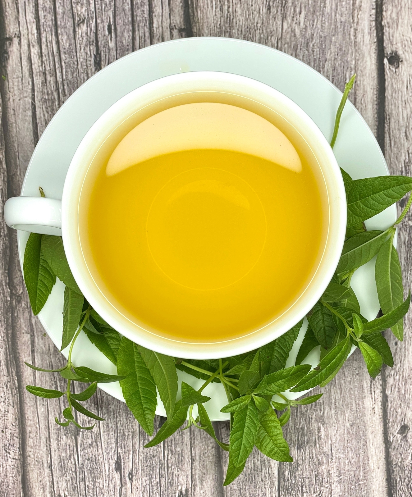 Lemon Verbena Tea by Palm Beach Herbals | 30ct, Caffeine-Free