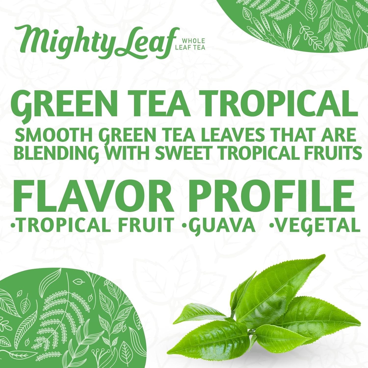 Mighty Leaf Green Tea Tropical – 100 Count Whole Leaf Green Tea Bags – Pyramid S