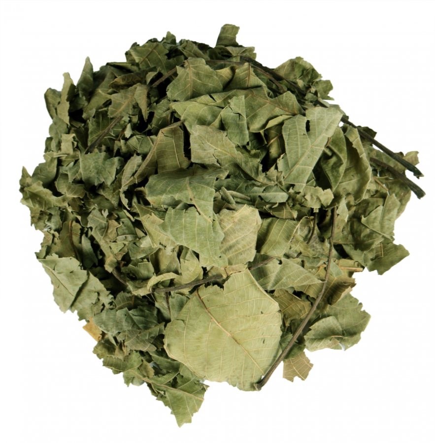 Walnut Leaf Tea from Albania – 100% Natural Herbal Tea (Juglans regia)