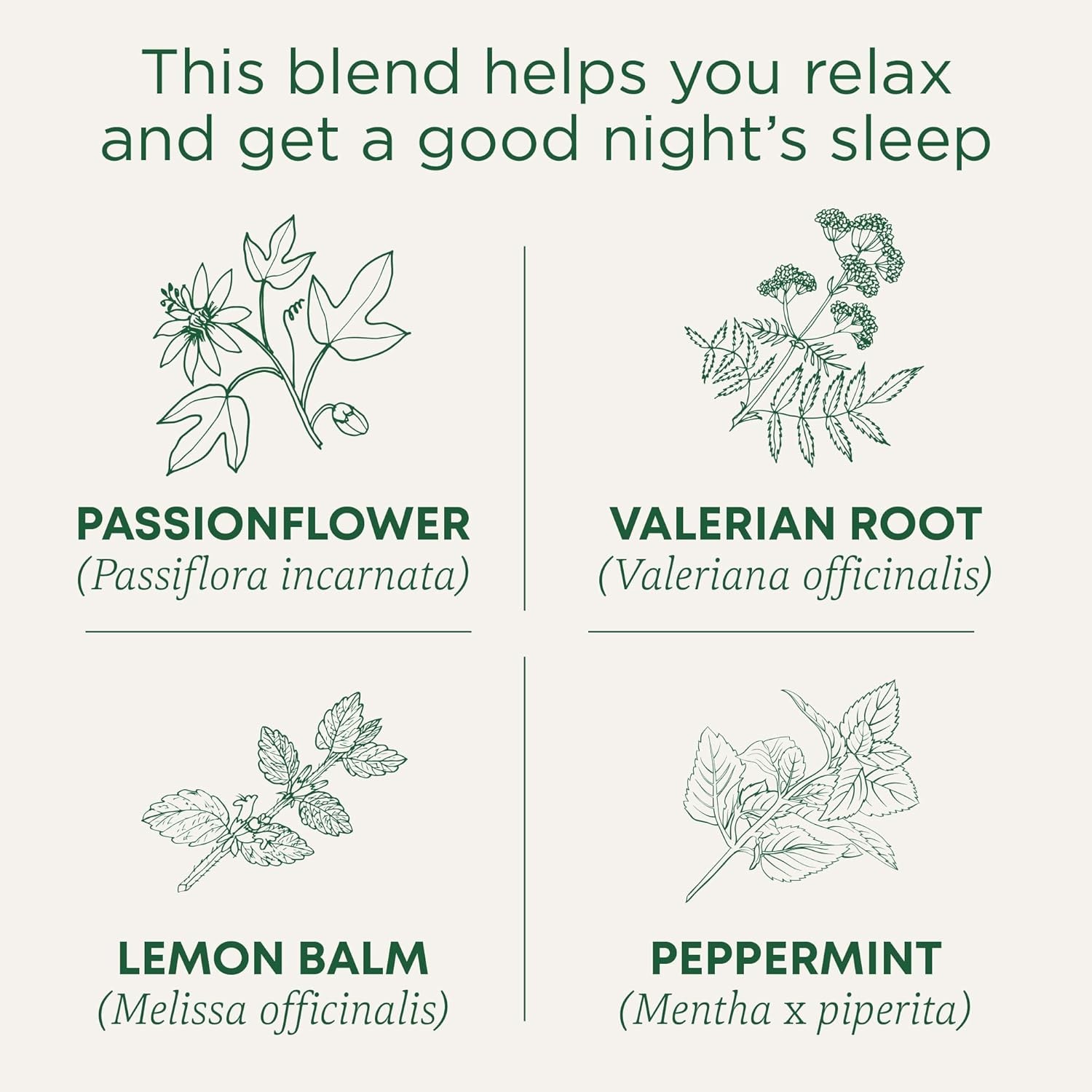 Traditional Medicinals Organic Nighty Night Extra Tea With Valerian Root for Rel