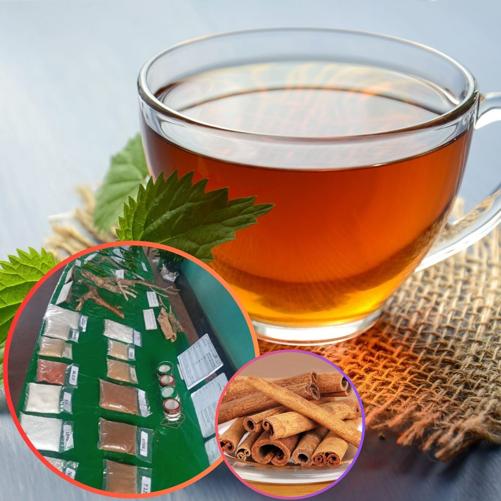 Ceylon Cinnamon Tea 500g – Herbal Drink – Balance Blood Sugar – Sri Lanka