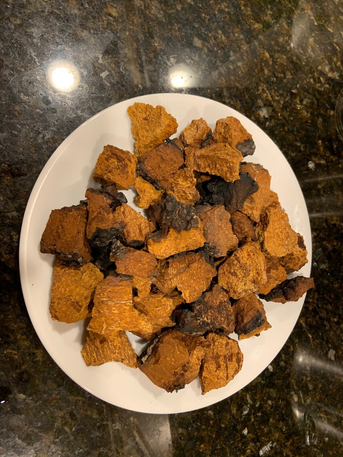 chaga 7 lbs of small chunks