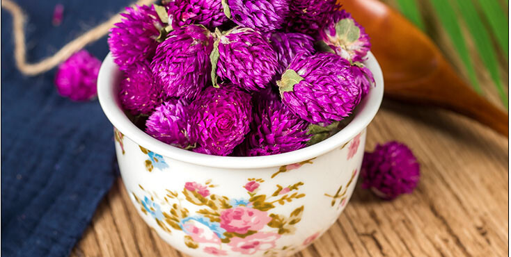 Gomphrena Flower Tea Natural Premium Herbal Tea Drink Healthy Food