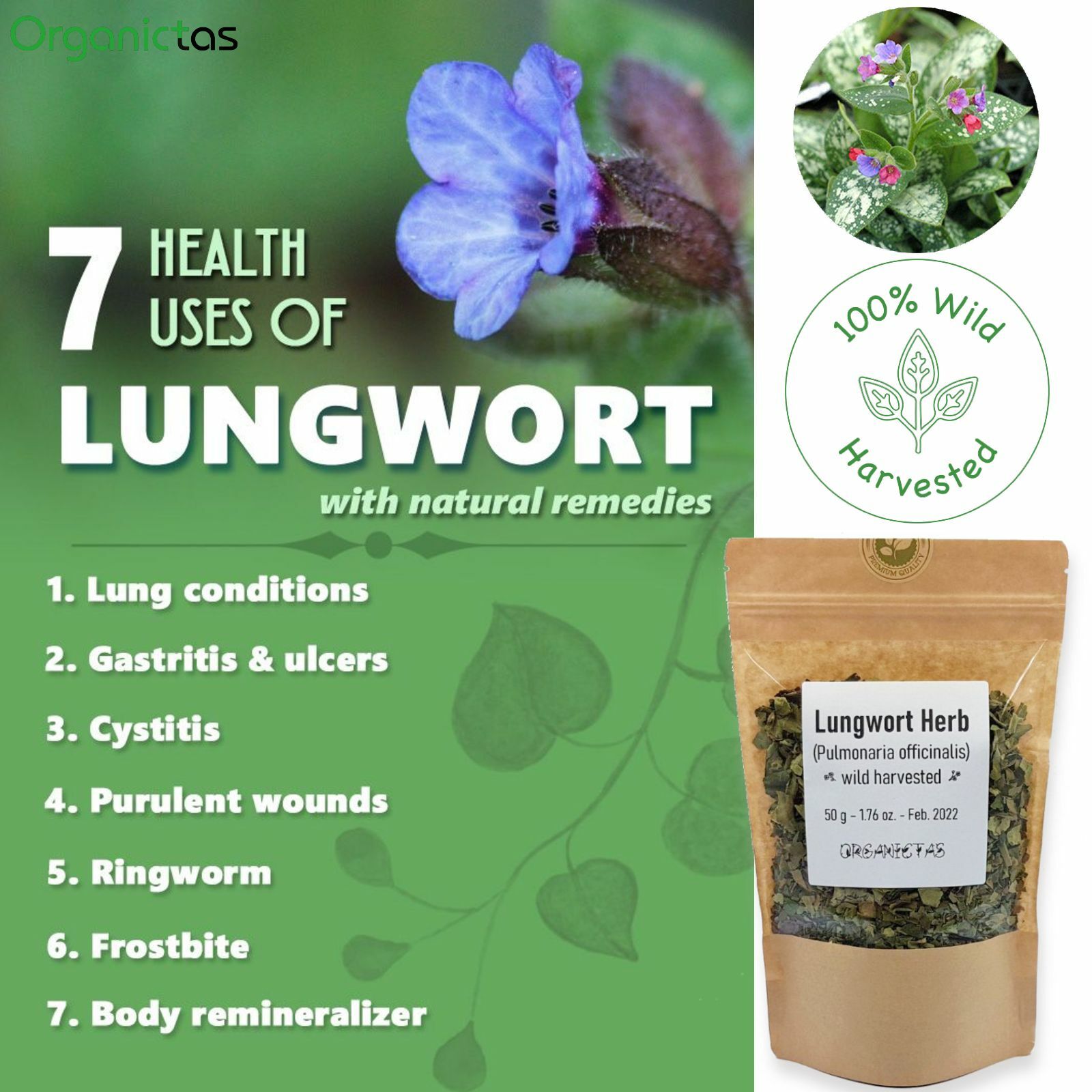 Lungwort Herb Tea Loose, for Lungs & Respiratory Tract Organic Pulmonaria offic.