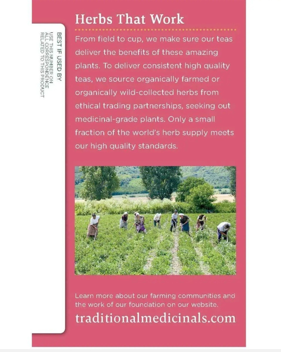 Traditional Medicinals – Organic Pregnancy Tea Raspberry Leaf – 16 Tea Bags