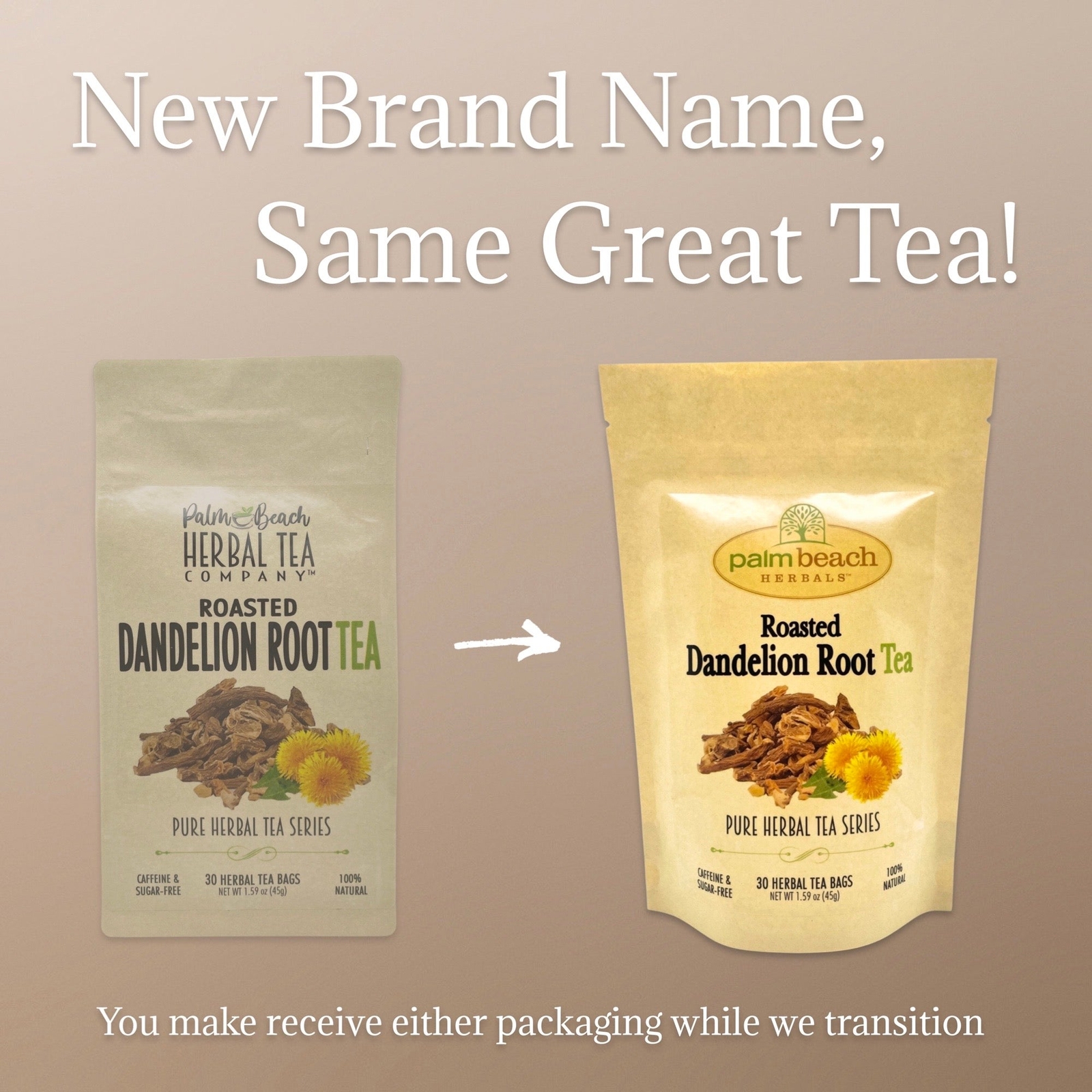 Roasted Dandelion Root Tea by Palm Beach Herbals | 30ct, Caffeine-Free