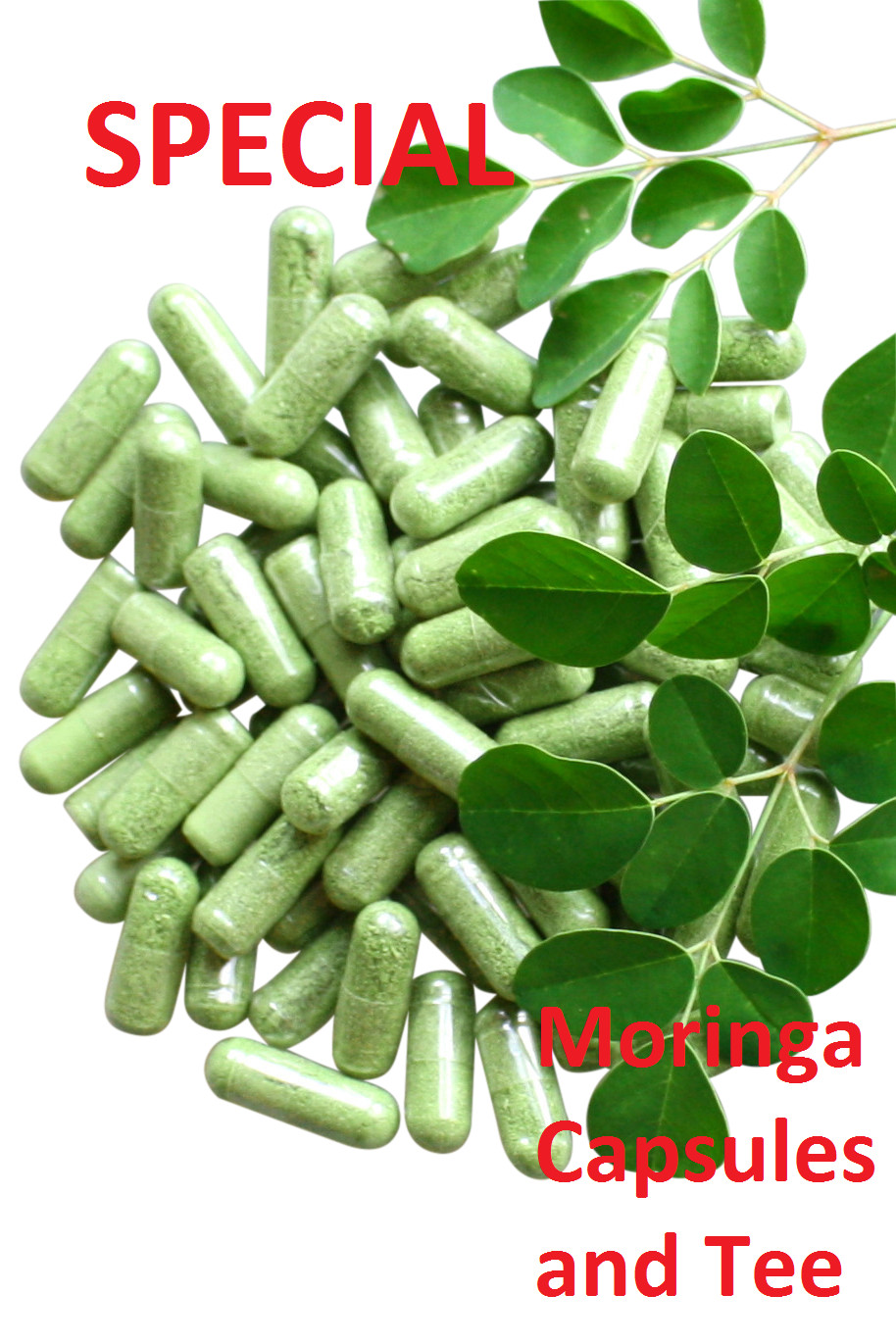 Moringa Capsules SUPER SPECIAL 6 x 100 Capsules PLUS 25 Moringa Tee bags