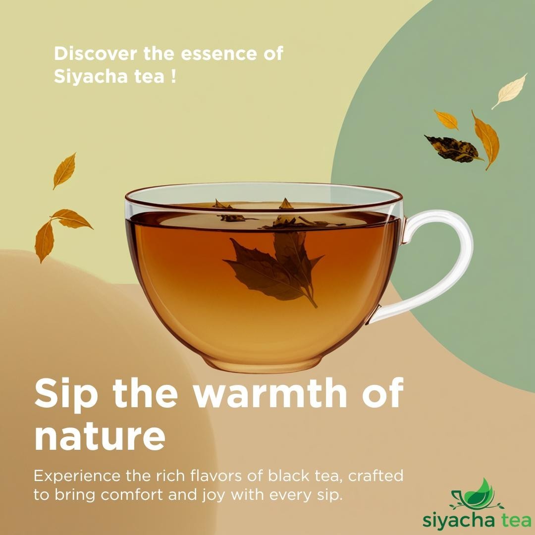 Darjeeling Second Flush Tea 2026 Fresh Avongrove TGBOP 1 Loose Leaf Blend