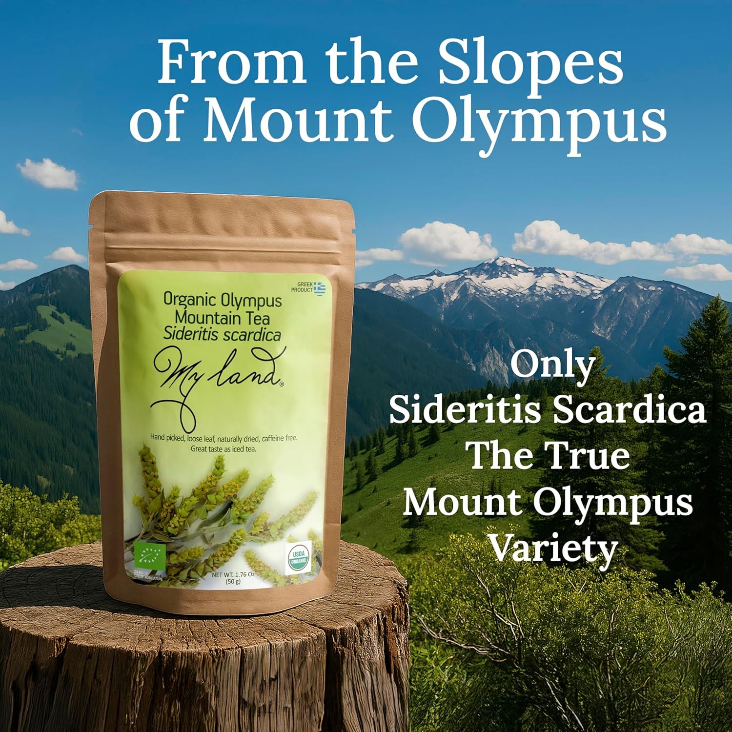 My Land Organic Greek Mountain Tea (Sideritis Scardica) – Loose Leaf Ironwort Ha